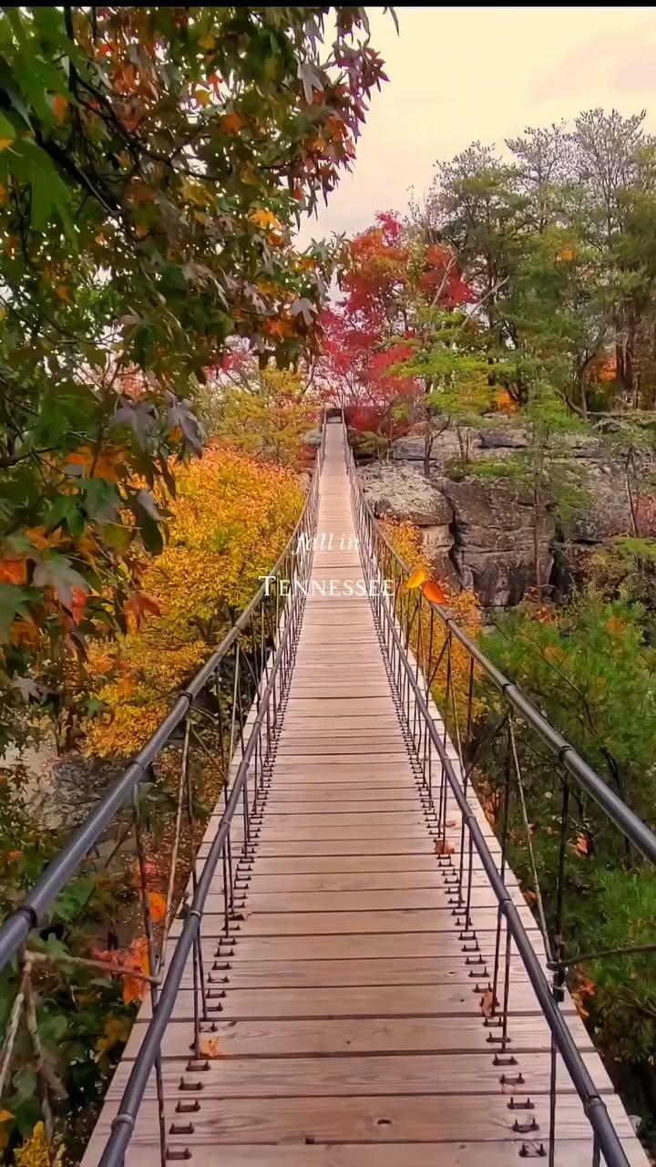 Tennessee Fall Road Trip Destinations