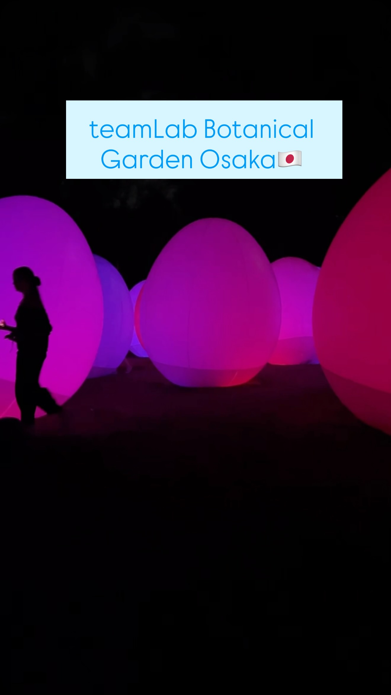 Osaka Botanical Gardens Feature Digital Art Installations