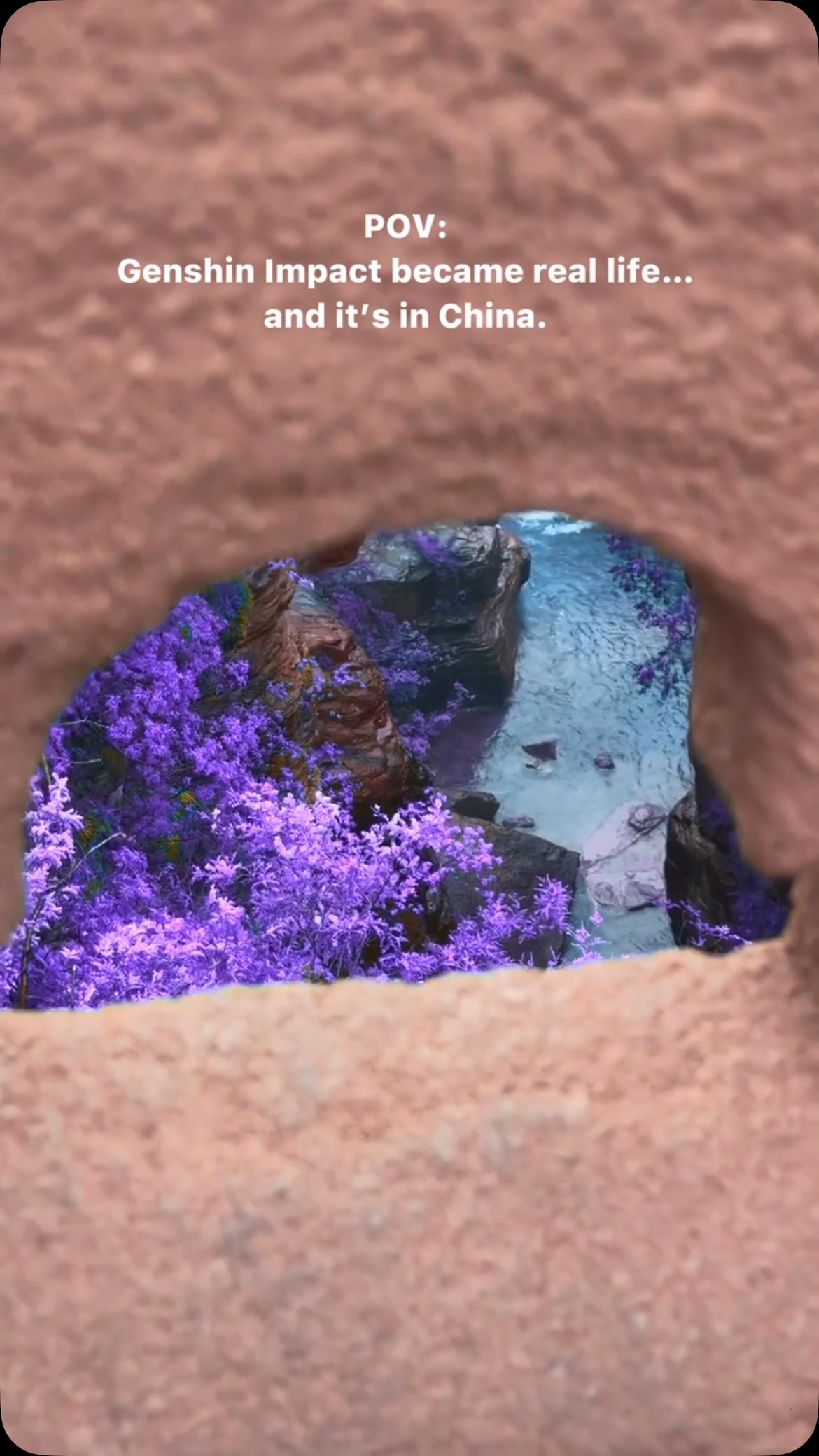 Chinese Geopark's Misty Mountains and Purple Flowers