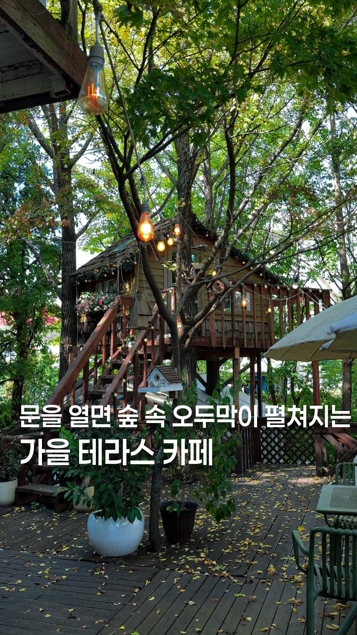 Secret Forest Cabin Cafe Offers Private Brunch Experience