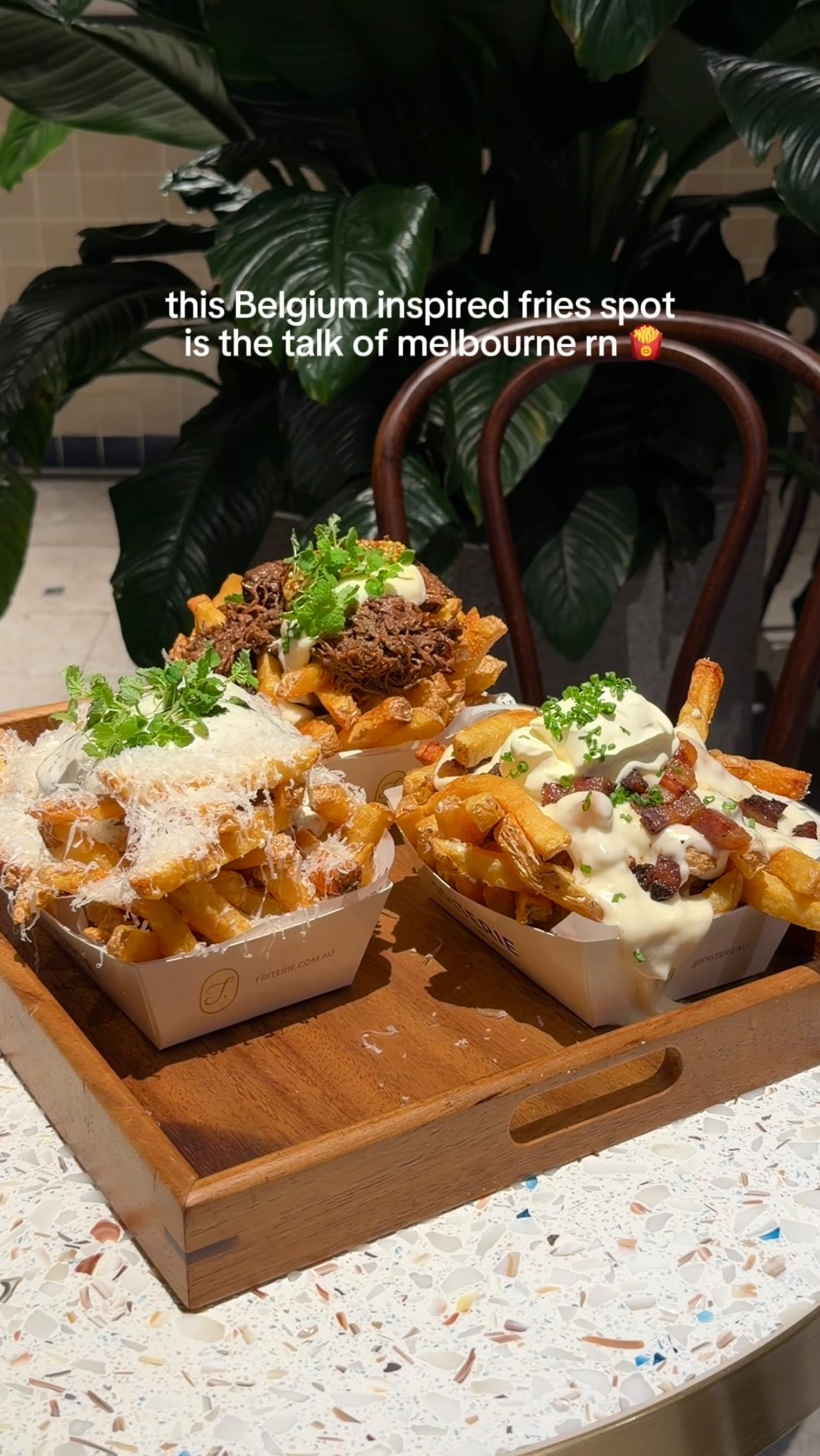 Belgian Fries Spot Offers Loaded Options