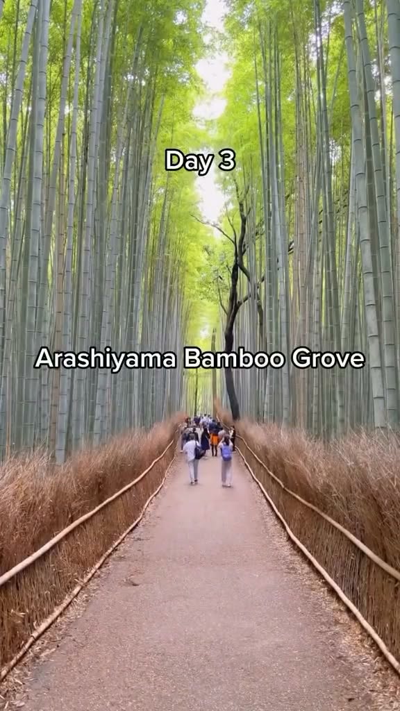 Kyoto's Top Twelve: Temples, Markets, and Gardens