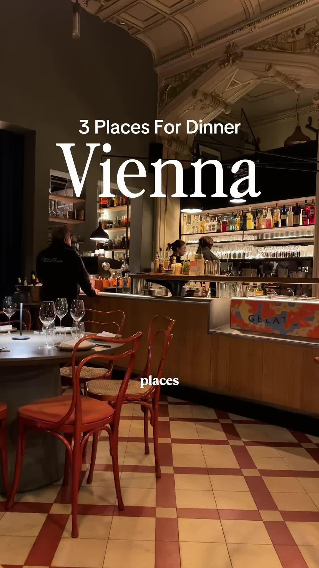 Vienna Restaurants For Various Dining Experiences