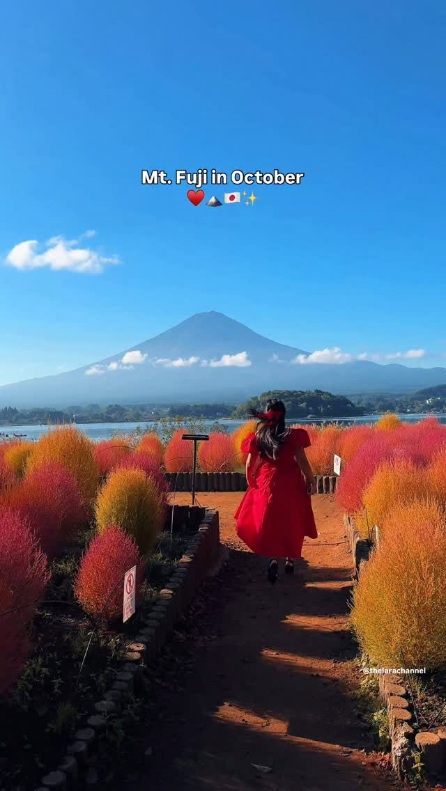 Mt. Fuji Views With October's Red Kochia