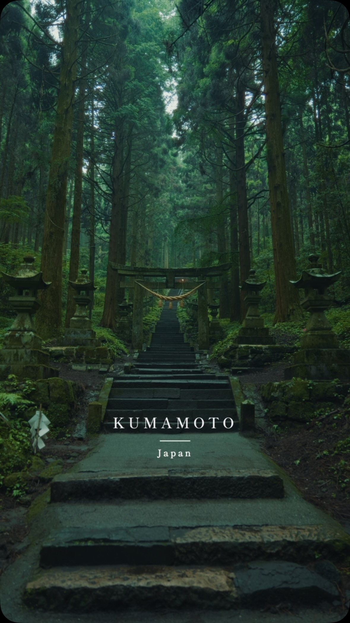 Kamishikimi Kumanoimasu Shrine's Enchanting Forest Path