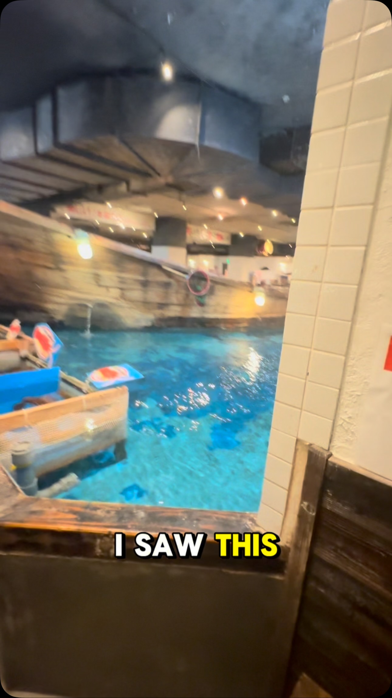 Dine and Catch Your Own Seafood Feast