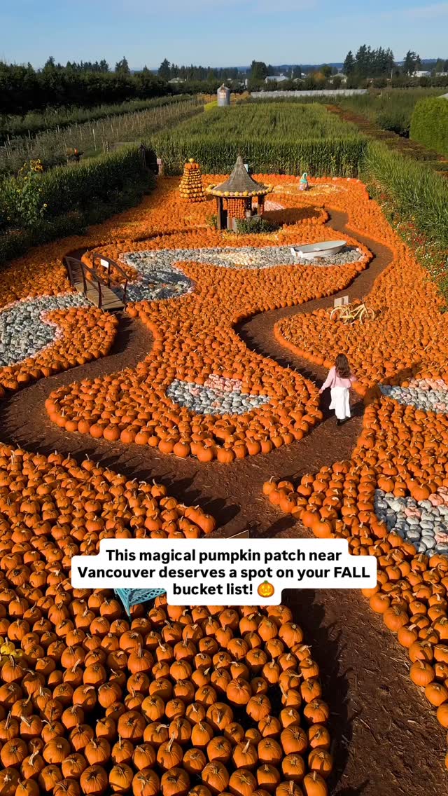 Magical Pumpkin Patch Near Vancouver