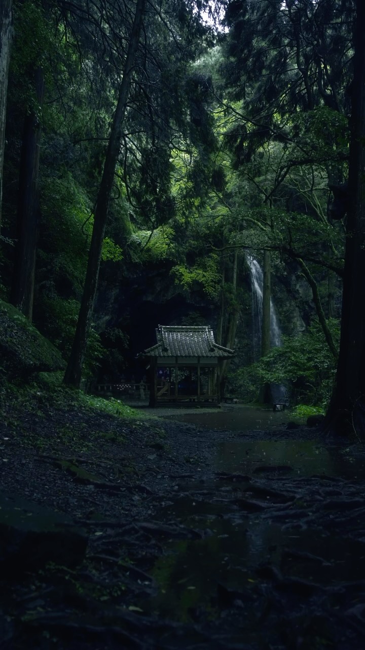 Fushimi Inari Shrine In Kyoto
