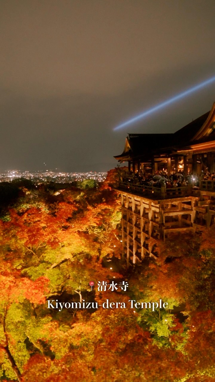 Kyoto Temples and Scenic Railway Stops