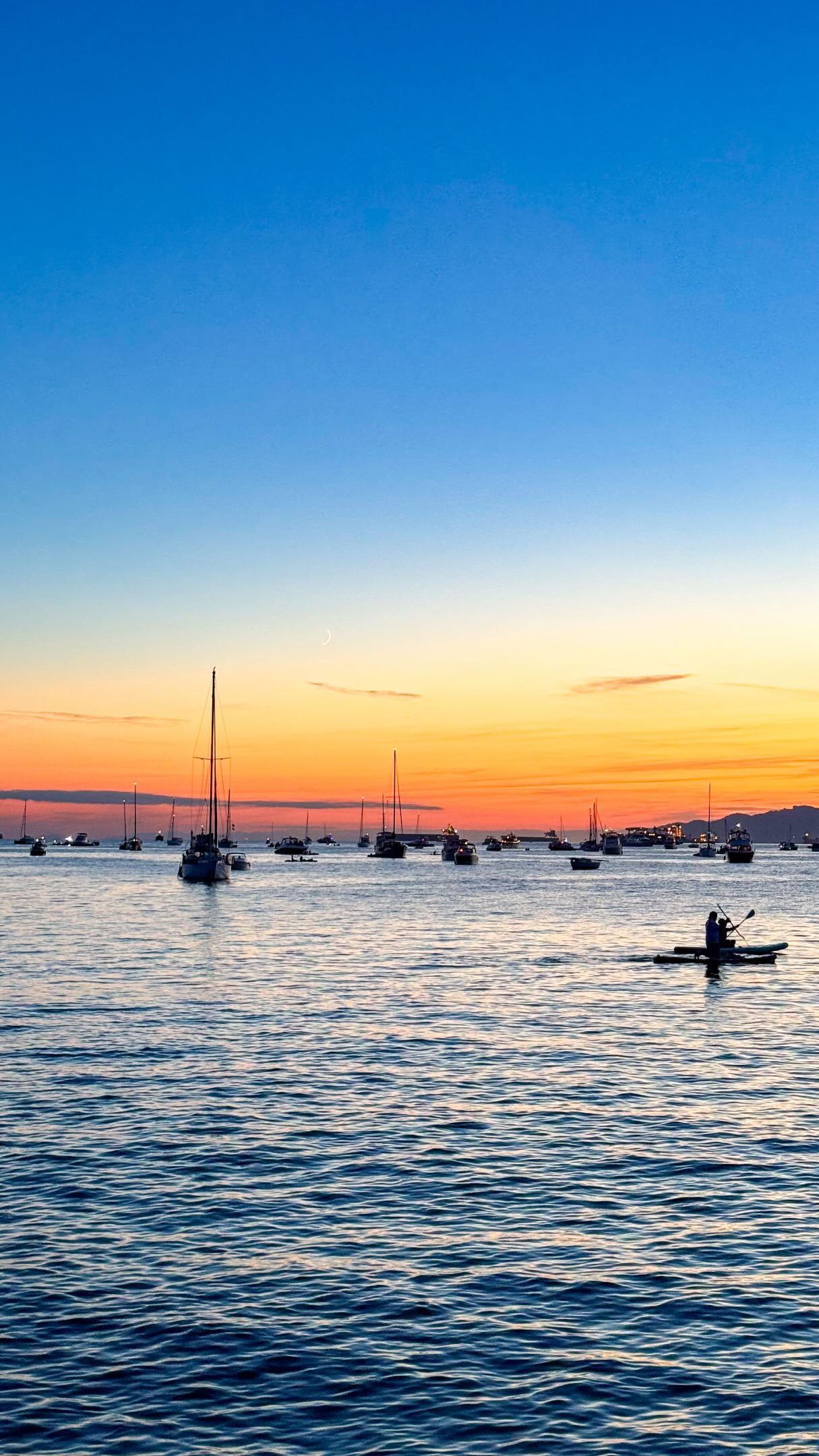 Vancouver's Scenic Parks, Gardens, and Waterfronts