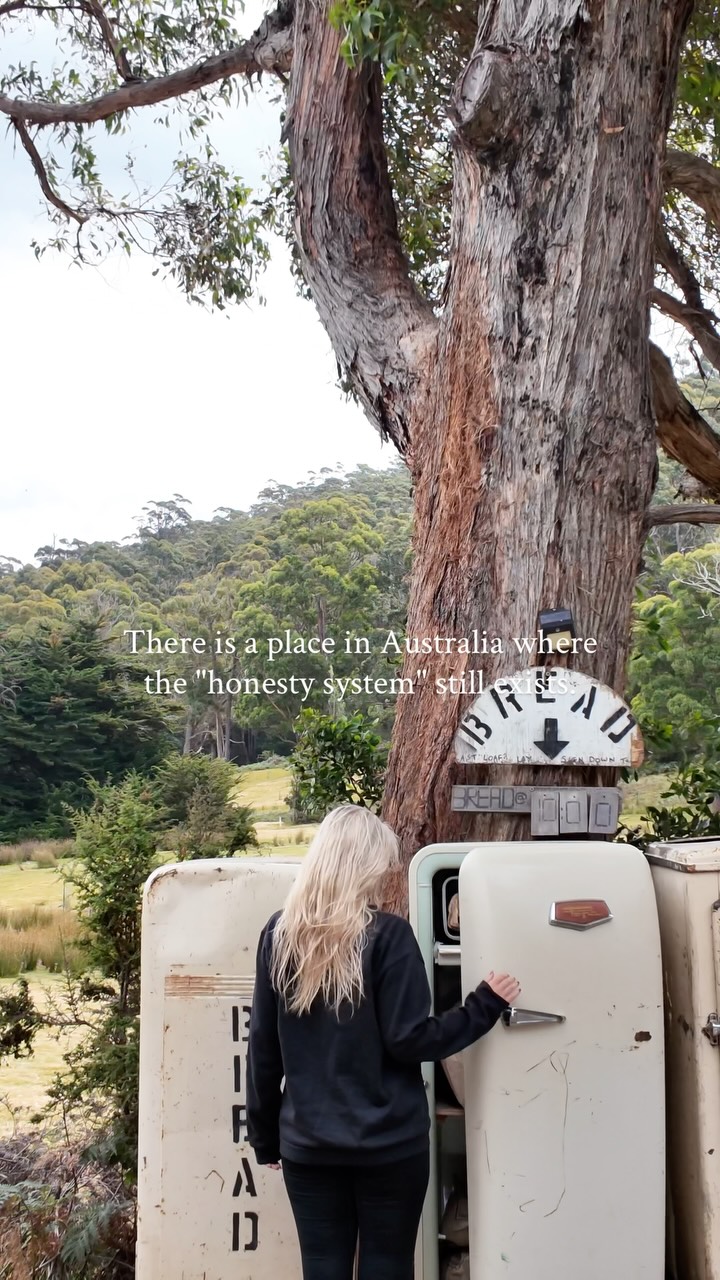 Bruny Island Bakery Offers Honesty System Treats