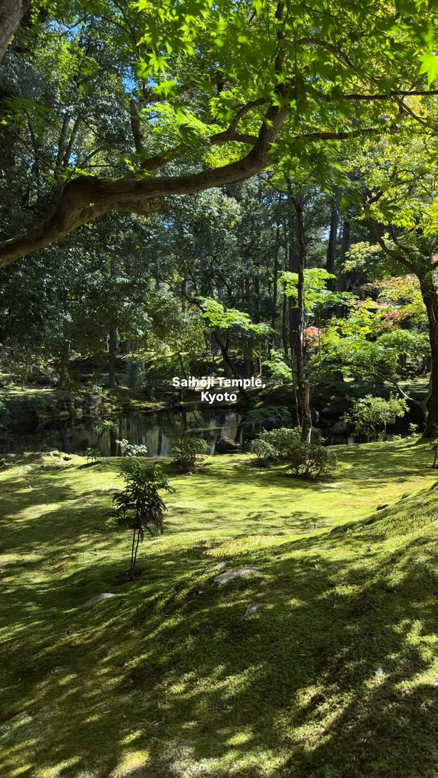 Kyoto's Serene Moss Temple Gardens