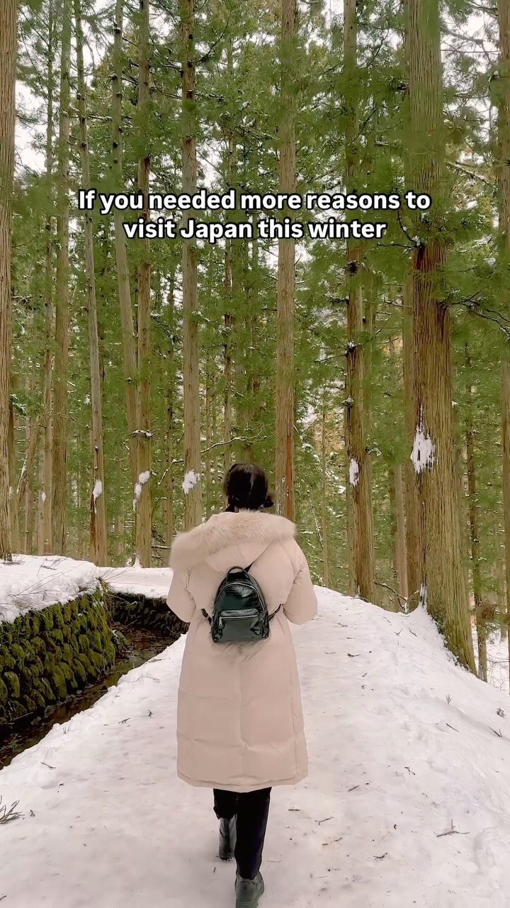 Winter Wonders Across Japan's Snowy Landscapes
