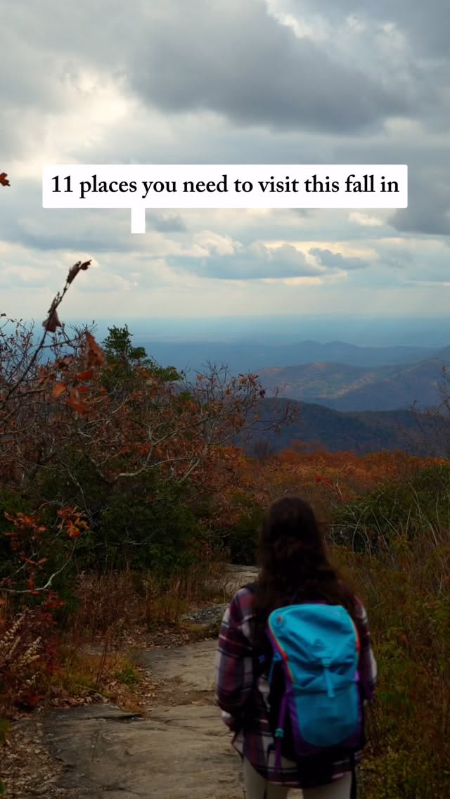 North Georgia's Fall Beauty: Nature, Wineries, and Orchards