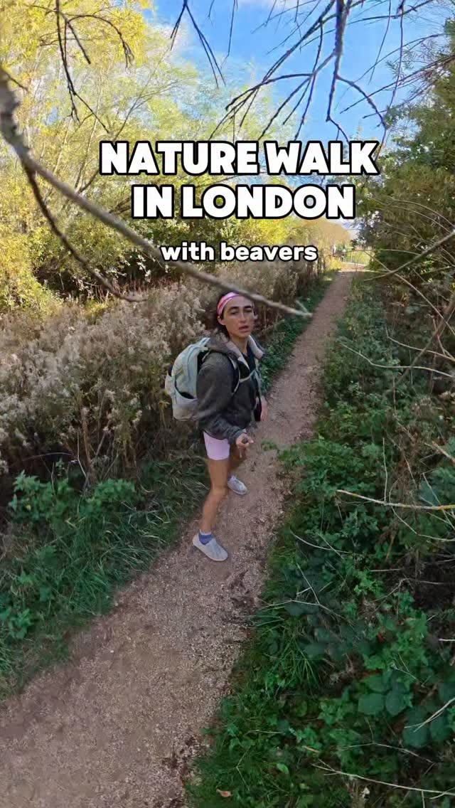 London Nature Walk: Beavers, Canals, and Hills