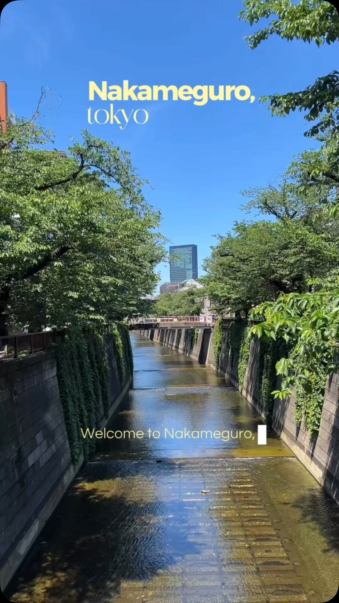 Tokyo's Nakameguro: Coffee Shops And Scenic Views