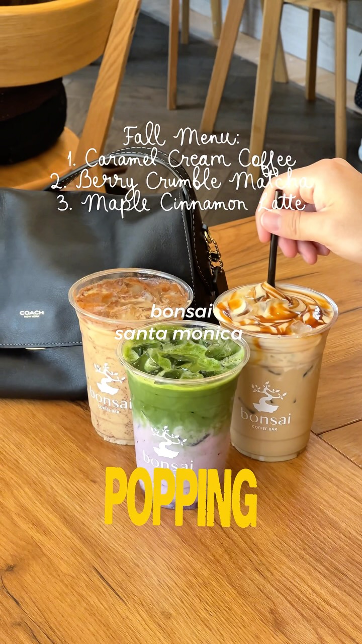Bonsai Coffee Bar's New Fall Menu Features