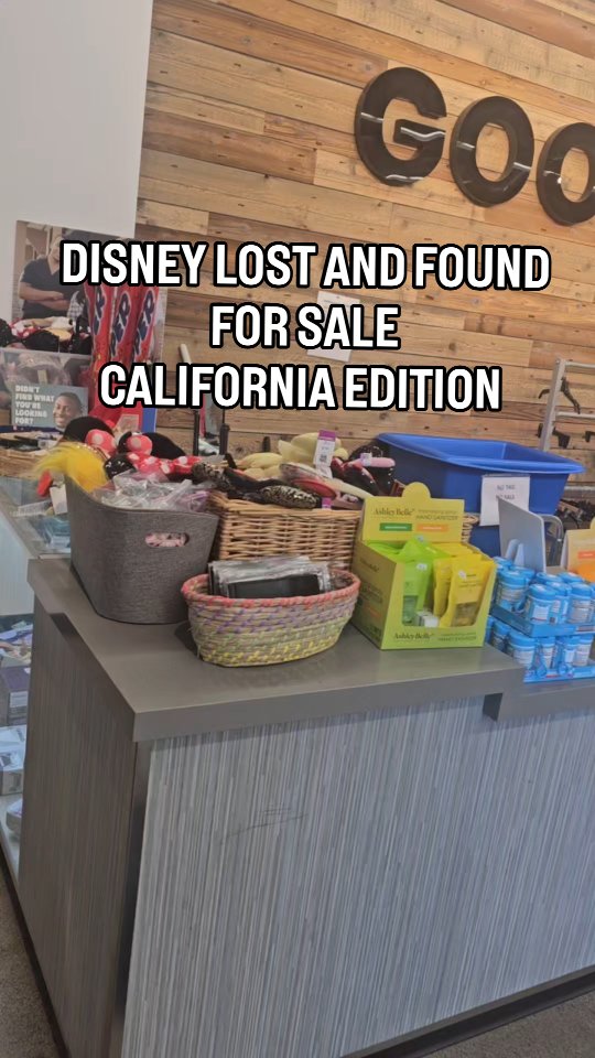 Disney Merchandise Found at Southern California Goodwill