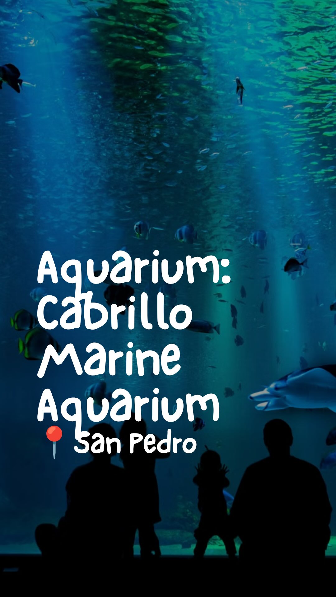 Cabrillo Beach and Marine Aquarium Exhibits