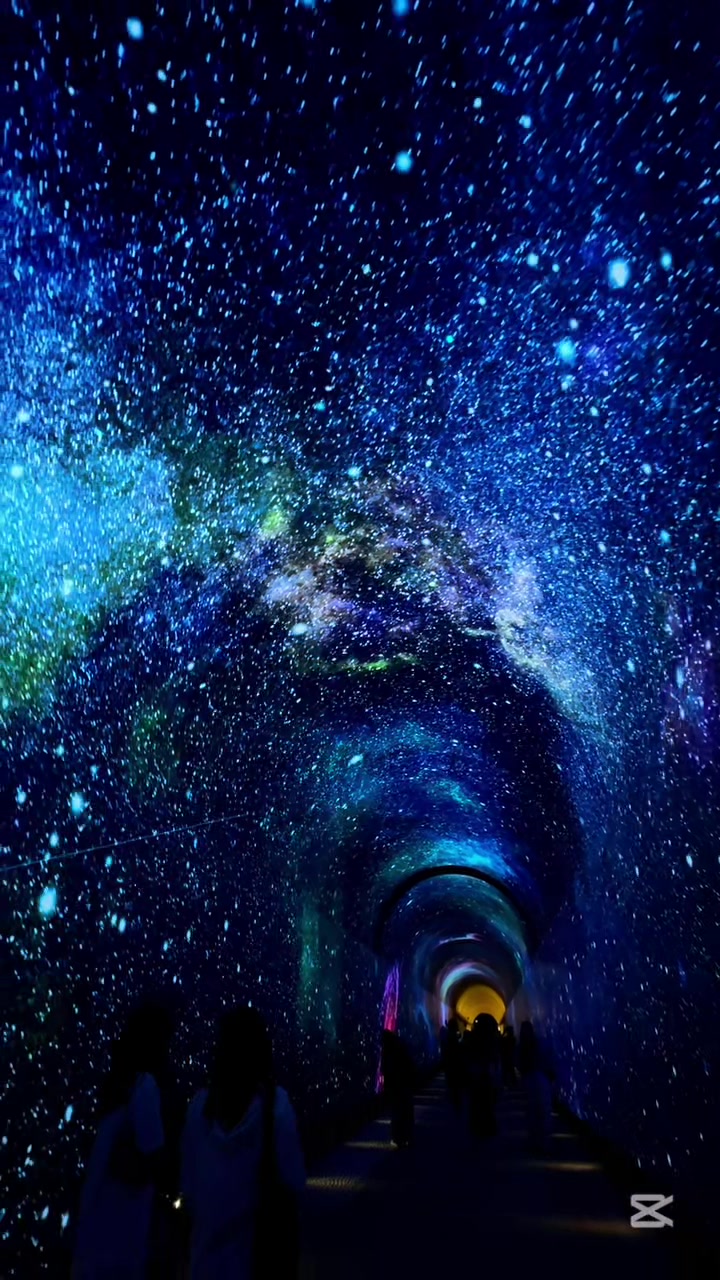 Bit Tunnel Park's Immersive Light Tunnel Experience