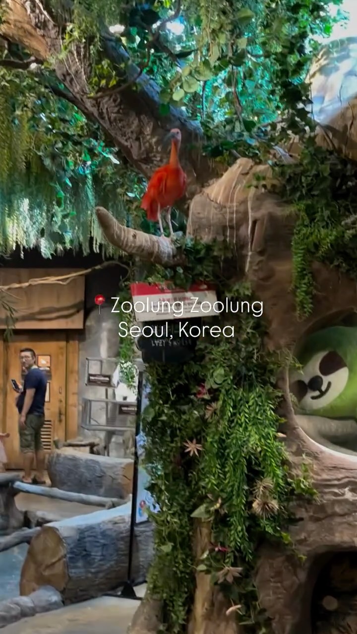 Zoolung Zoolung Indoor Zoo Animals