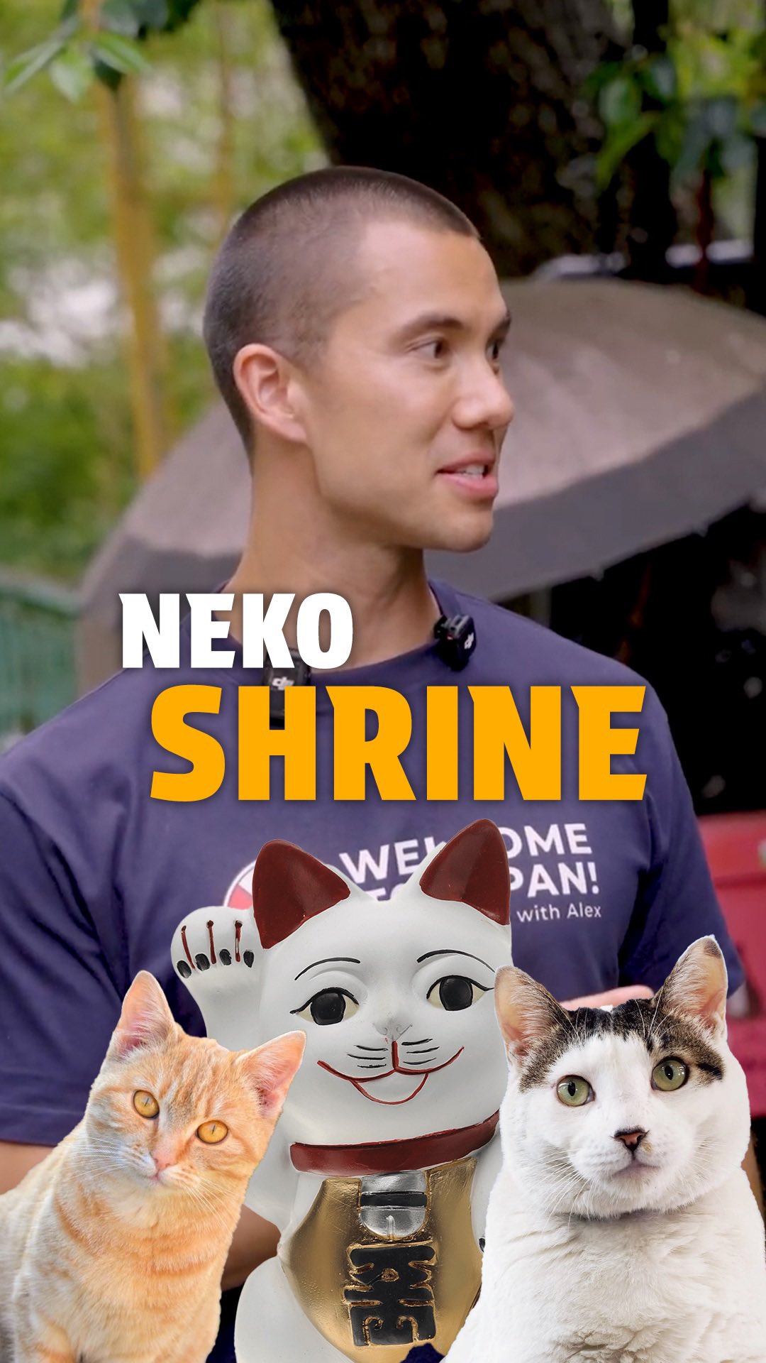 Nenneko-ya: A Tokyo Cat Shrine and Guesthouse