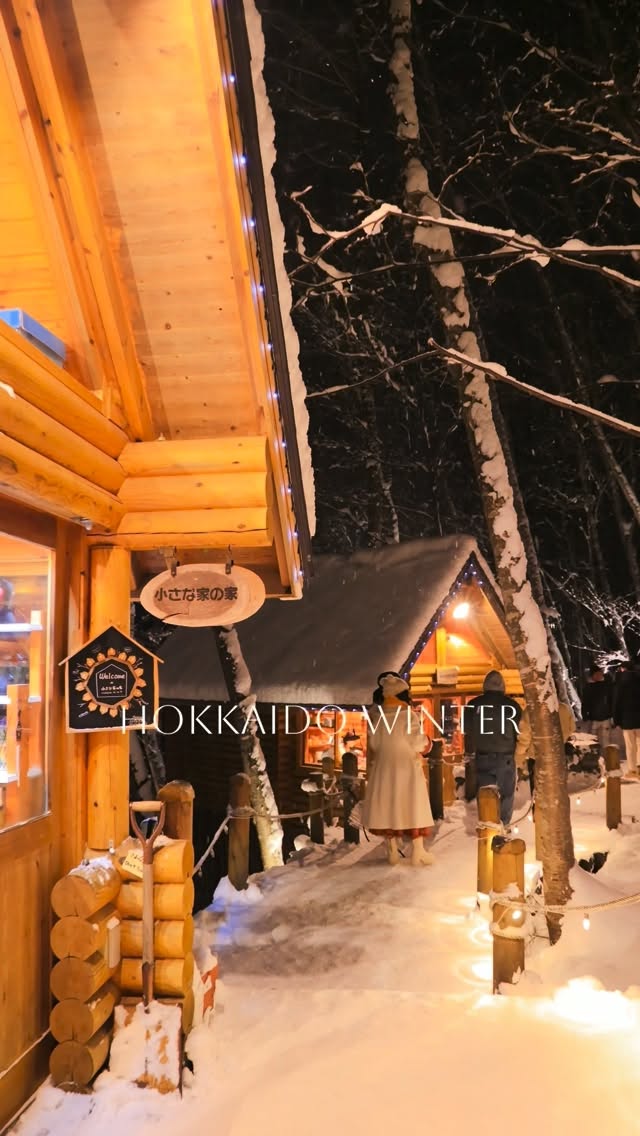 Hokkaido's Winter Wonders: Markets, Gardens, and Snow