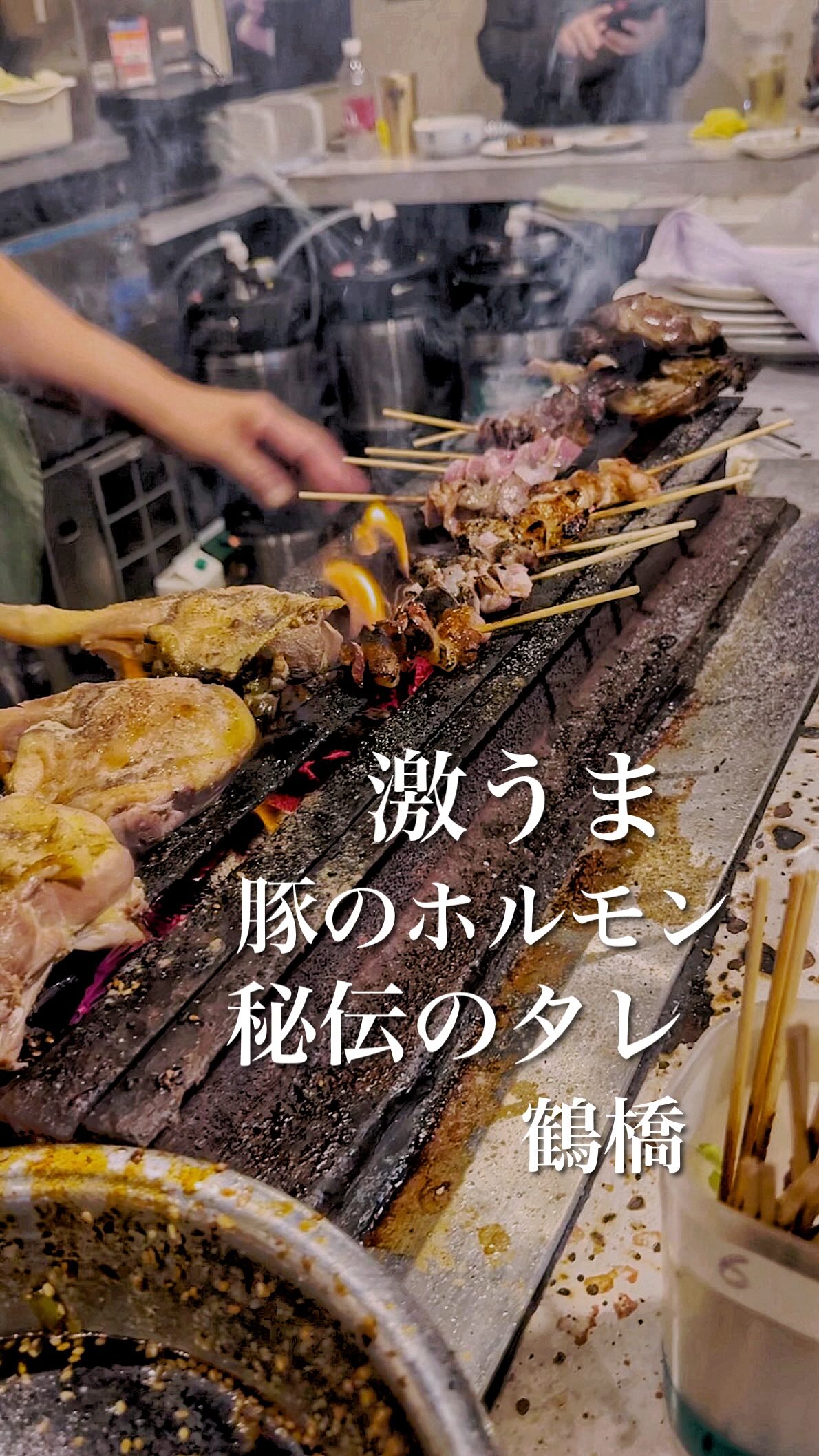 Tsuruhashi Pork Skewers Offer Unending Delights