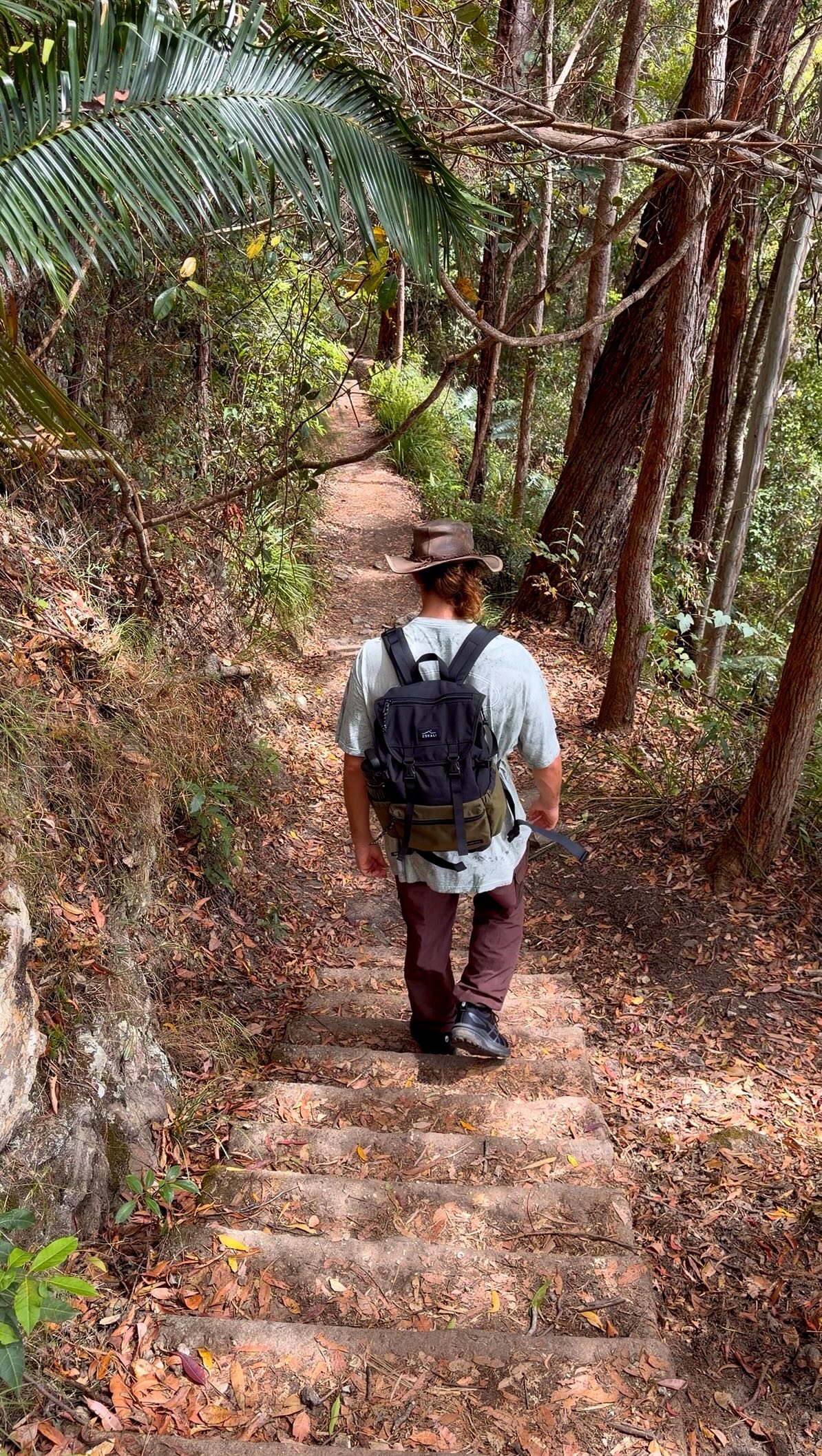 New South Wales Nature Getaways and Camping