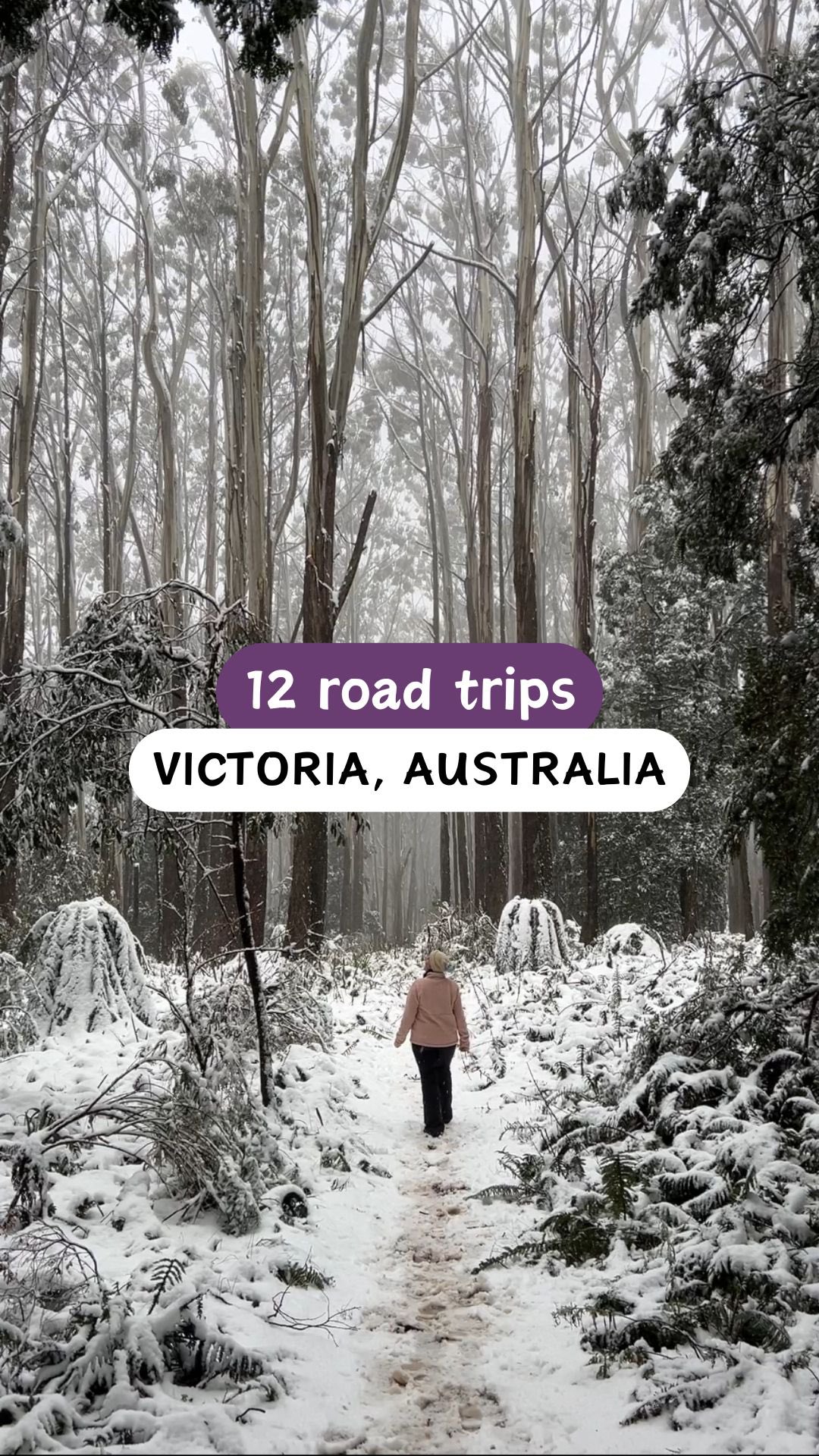 Victorian Road Trips From Melbourne