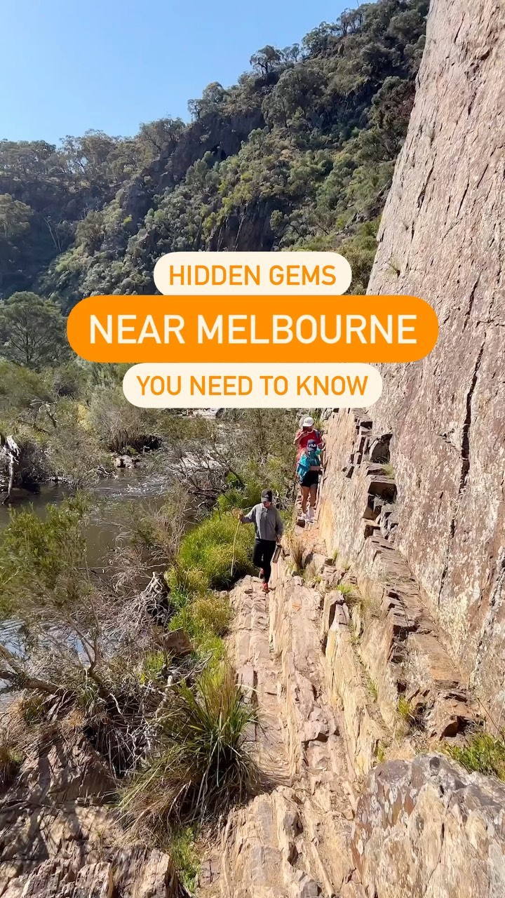 Werribee Gorge Circuit: Challenging Hike With River Beaches