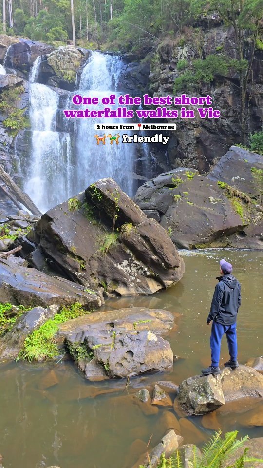 Scenic Waterfalls and Forest Walks Near the Great Ocean Road