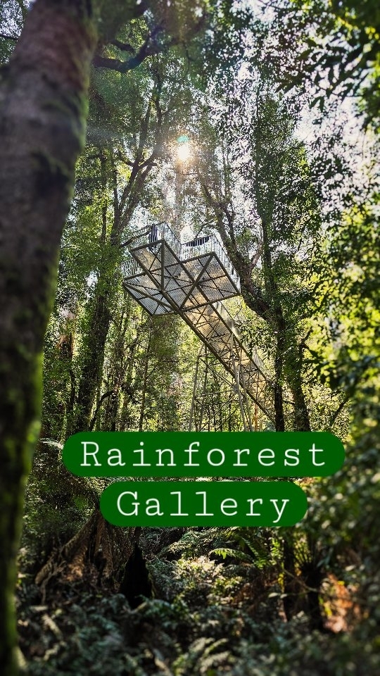 Yarra Valley Rainforest Walk Skywalk