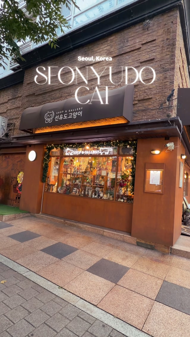 Seonyudo Cat Shop Offers Global Goods