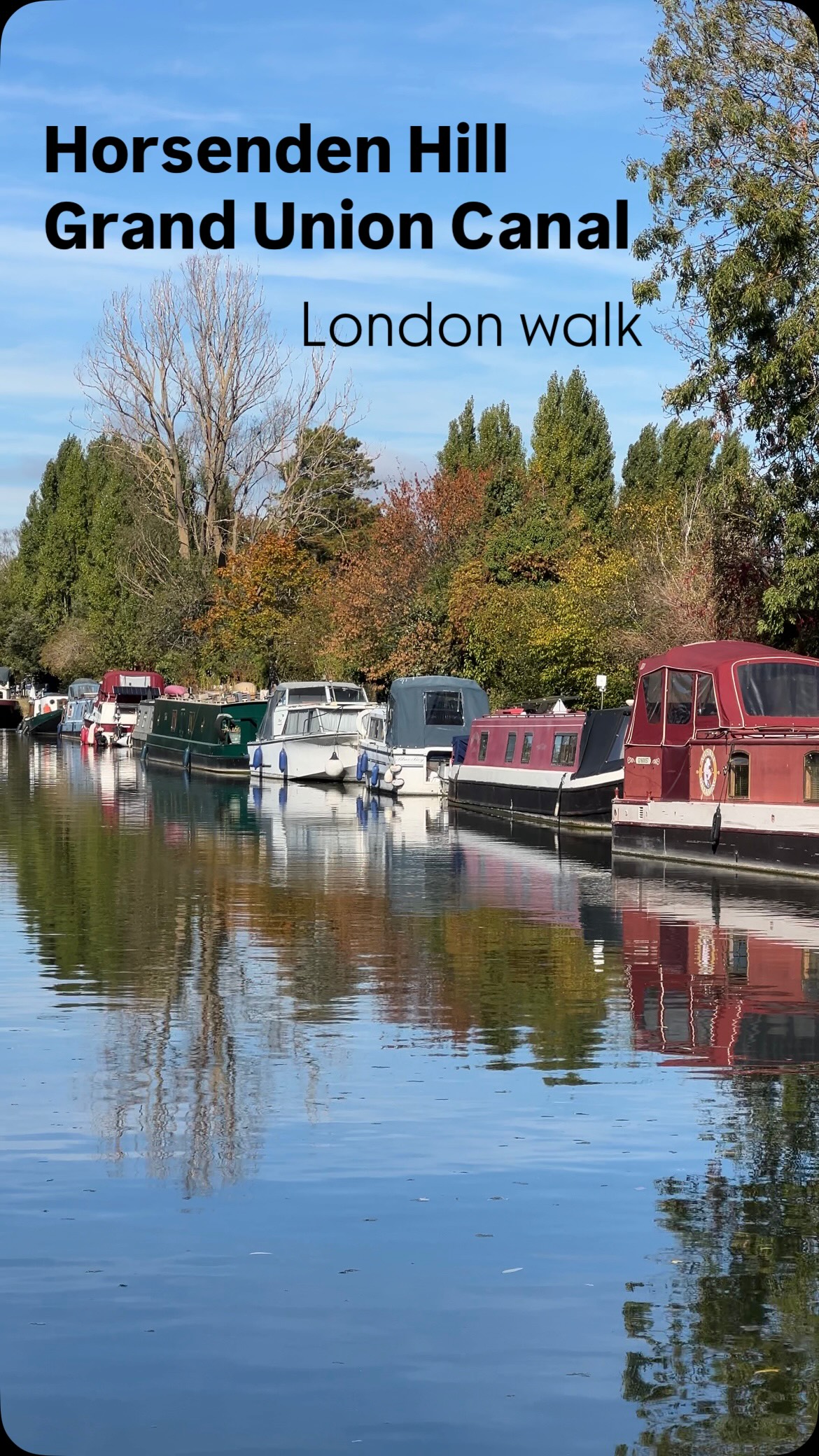 London Nature Walk: Grand Union Canal & Horsenden Hill
