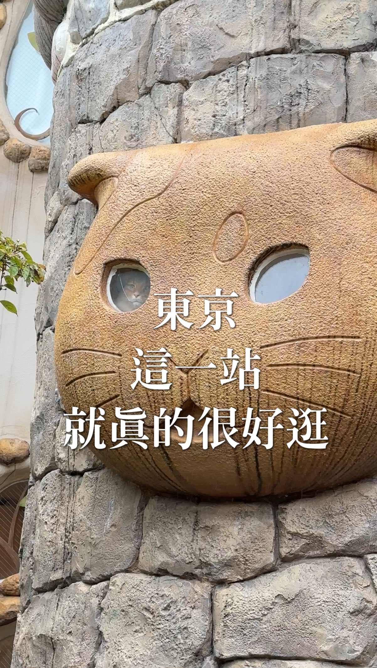 Kichijoji Shops Showcase Livable Tokyo Area