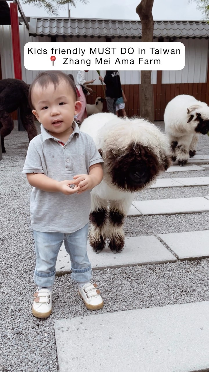 Taiwan's Zhang Mei Ama Farm: Kid-Friendly Fun