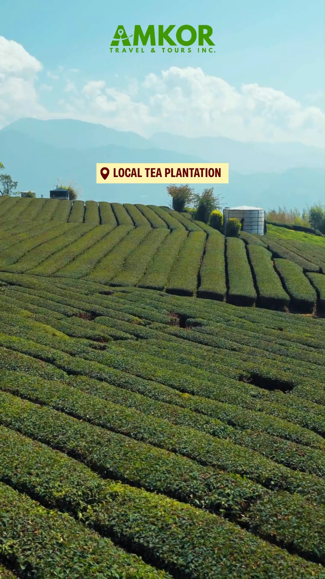 Southern Taiwan Exploration: Kaohsiung, Tainan, Alishan