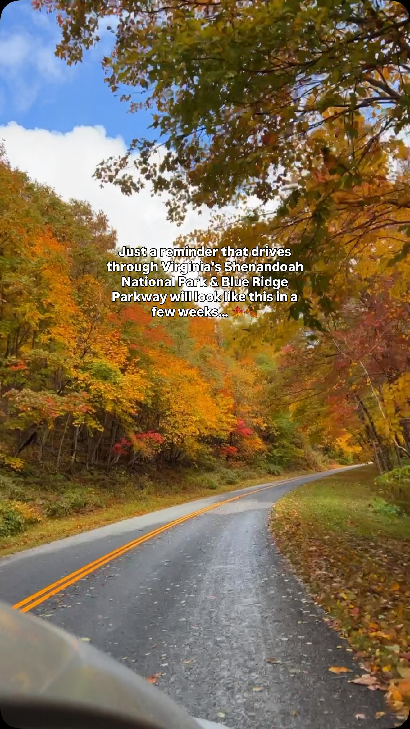 Virginia's Fall Foliage Peaks: Shenandoah & Blue Ridge