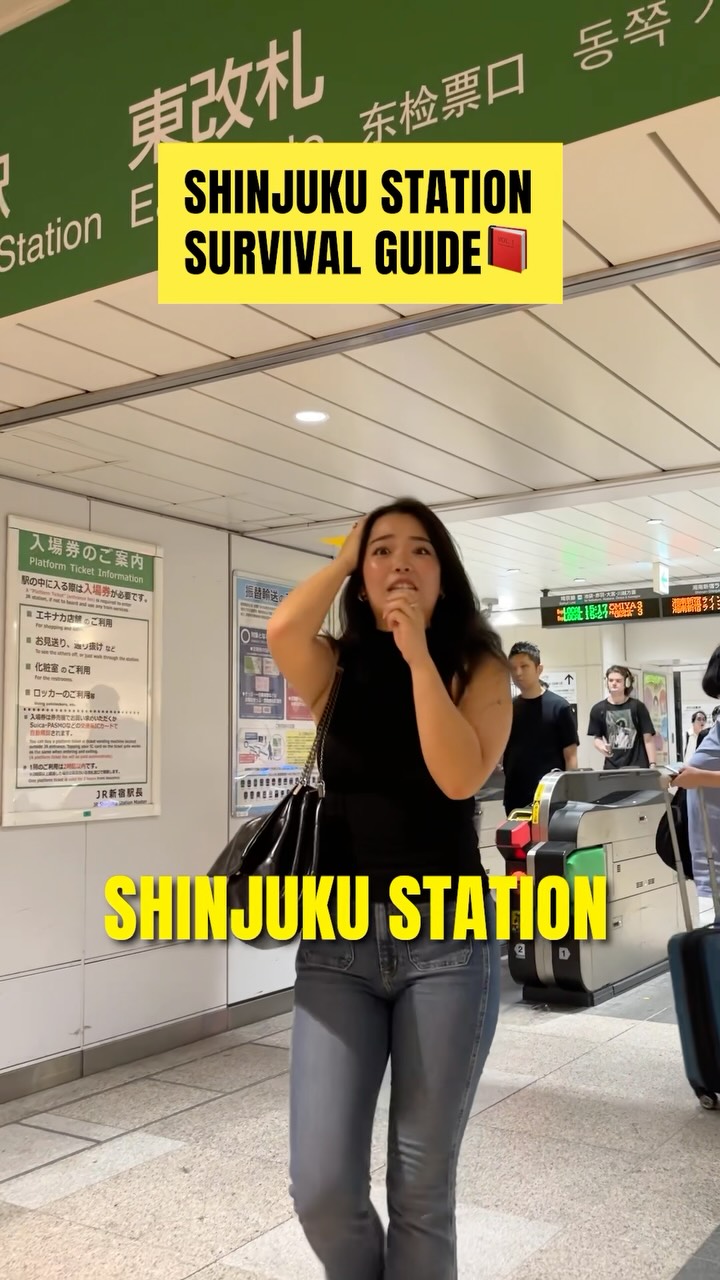 Shinjuku Station Survival Guide