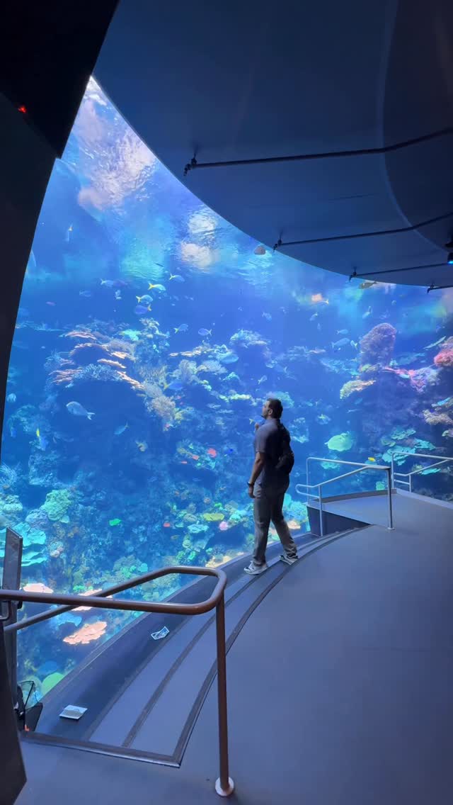 California Academy of Sciences And Golden Gate Park