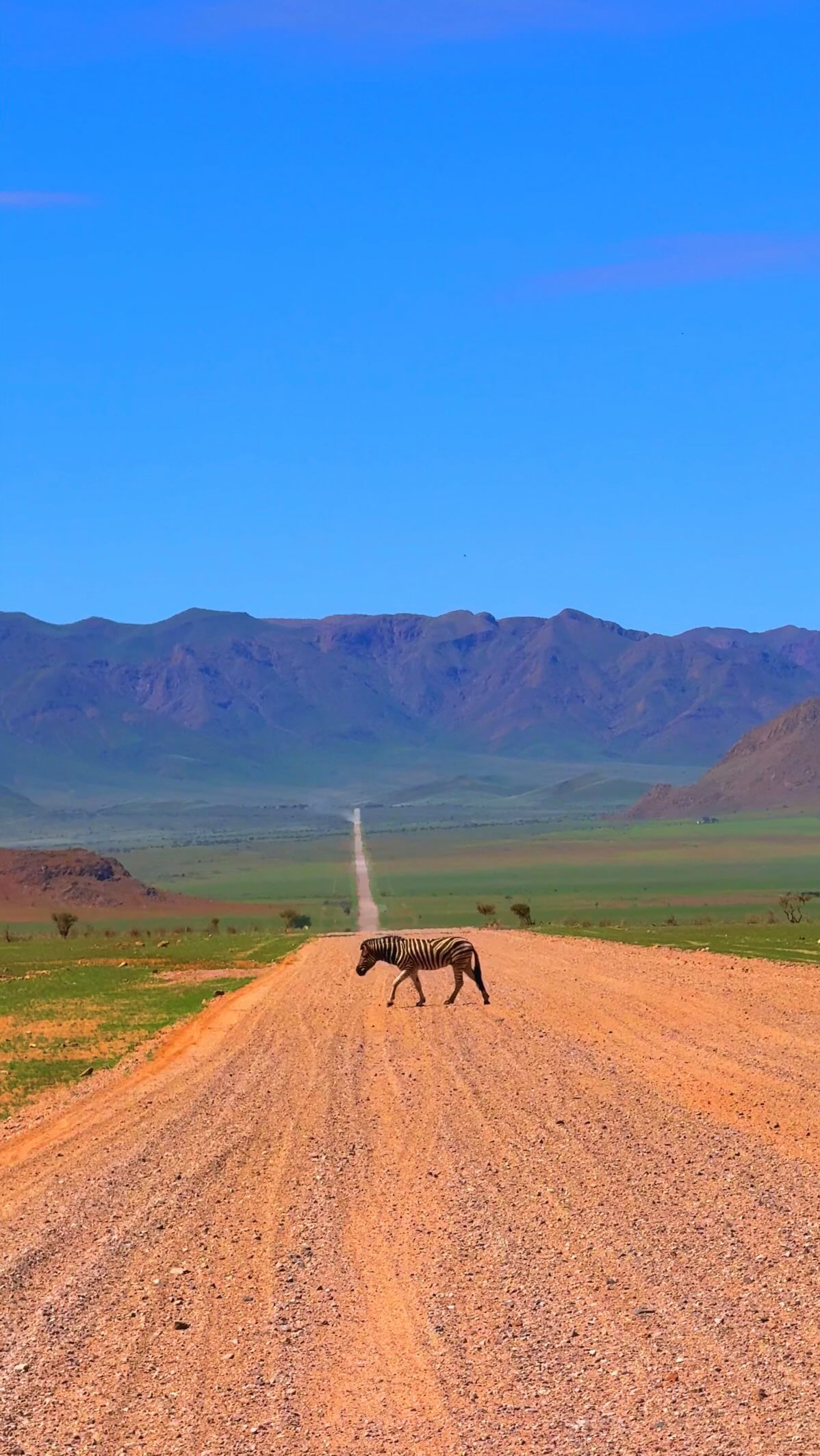 Namibia Road Trip: Parks, Dunes, and Rock Formations
