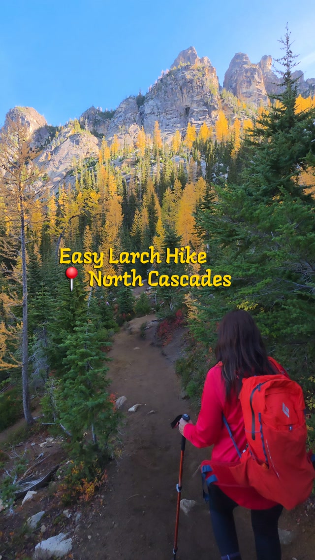 North Cascades Larch Hikes With Golden Views