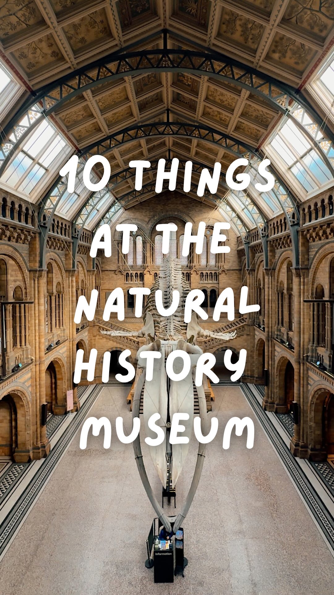 Natural History Museum's Top Attractions And Architecture