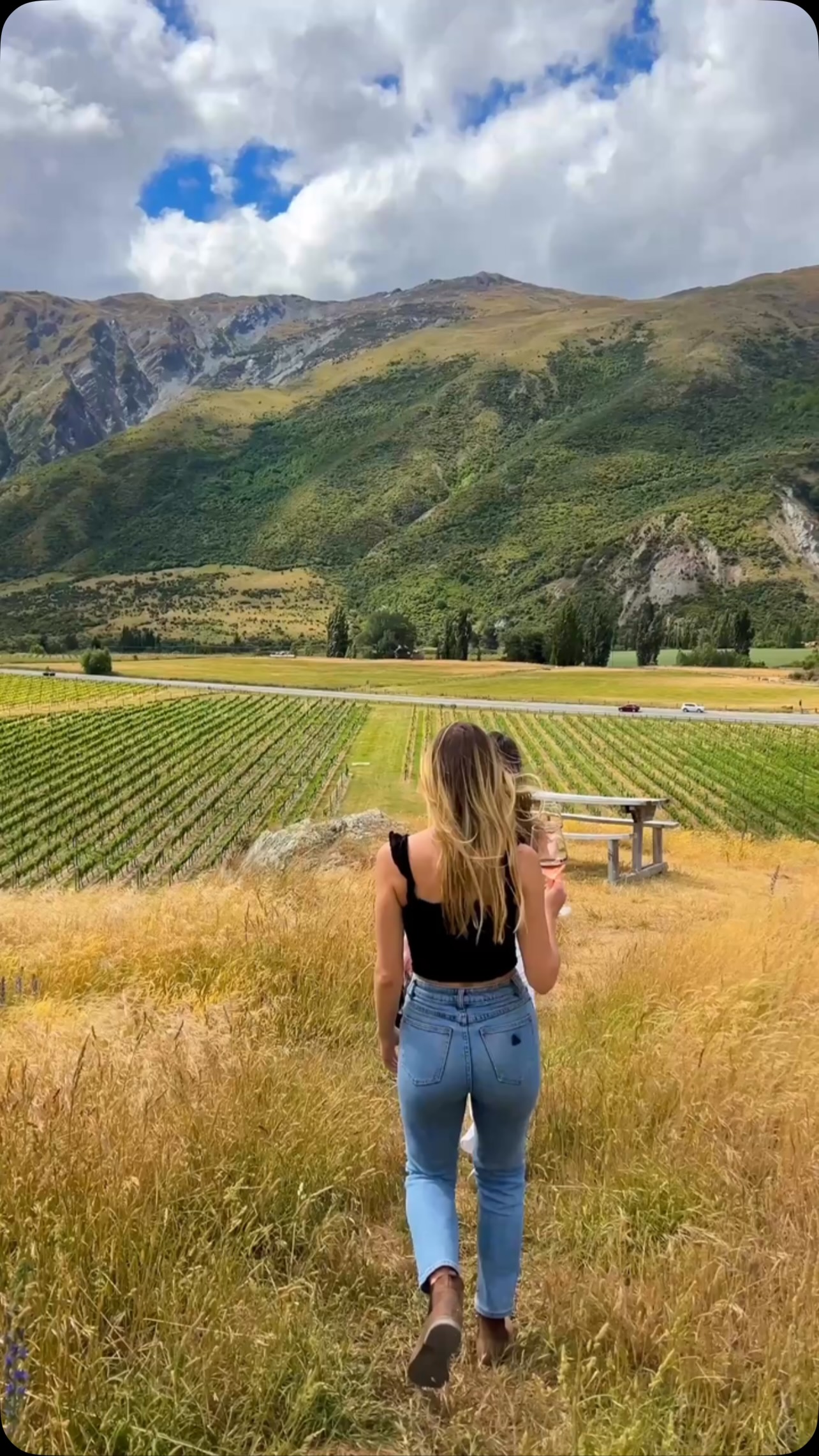 New Zealand Wineries For Wine Lovers