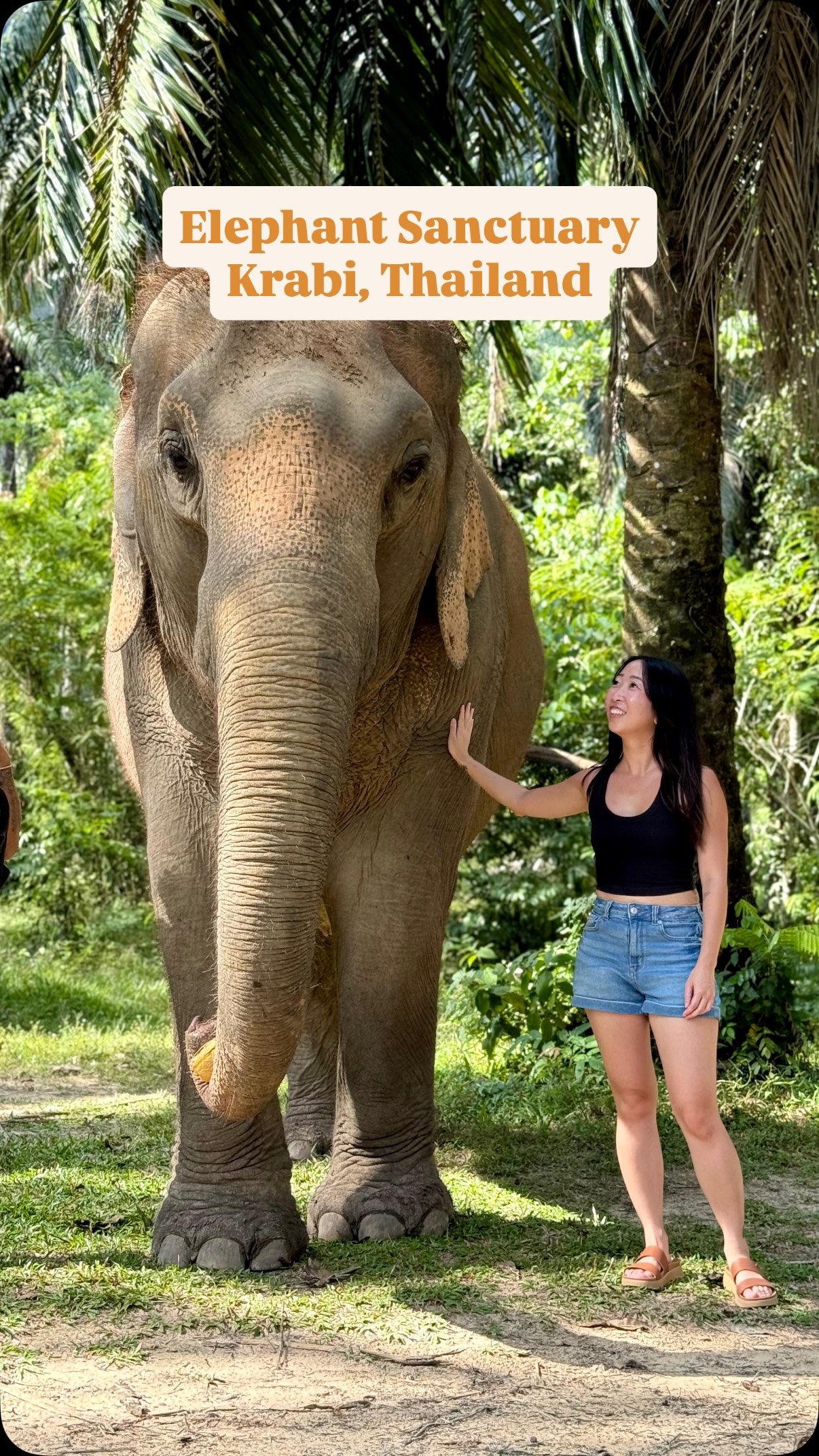 Krabi Elephant Sanctuary: Rescued Elephant Encounters