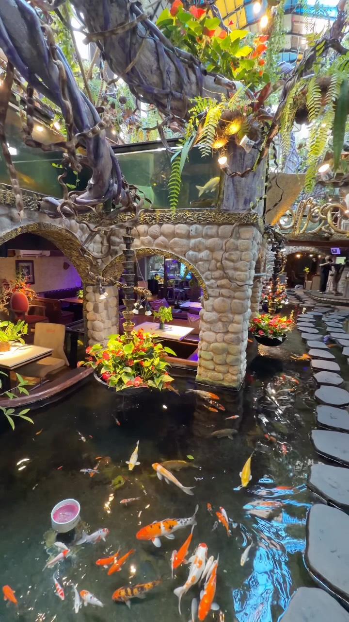 Unique Vietnam Cafe With Koi Ponds