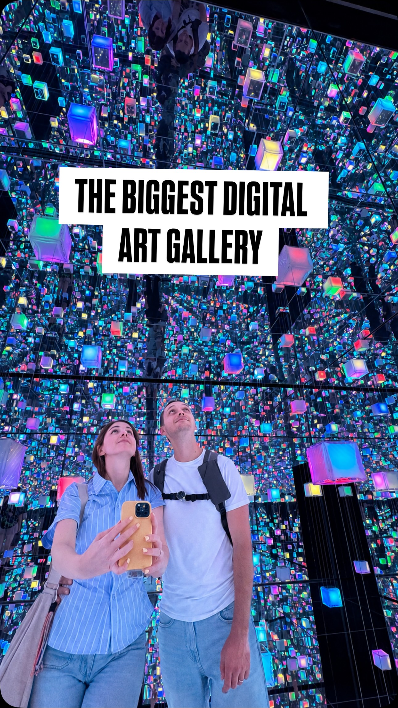 Prague's Historic Market Hall Hosts Digital Art