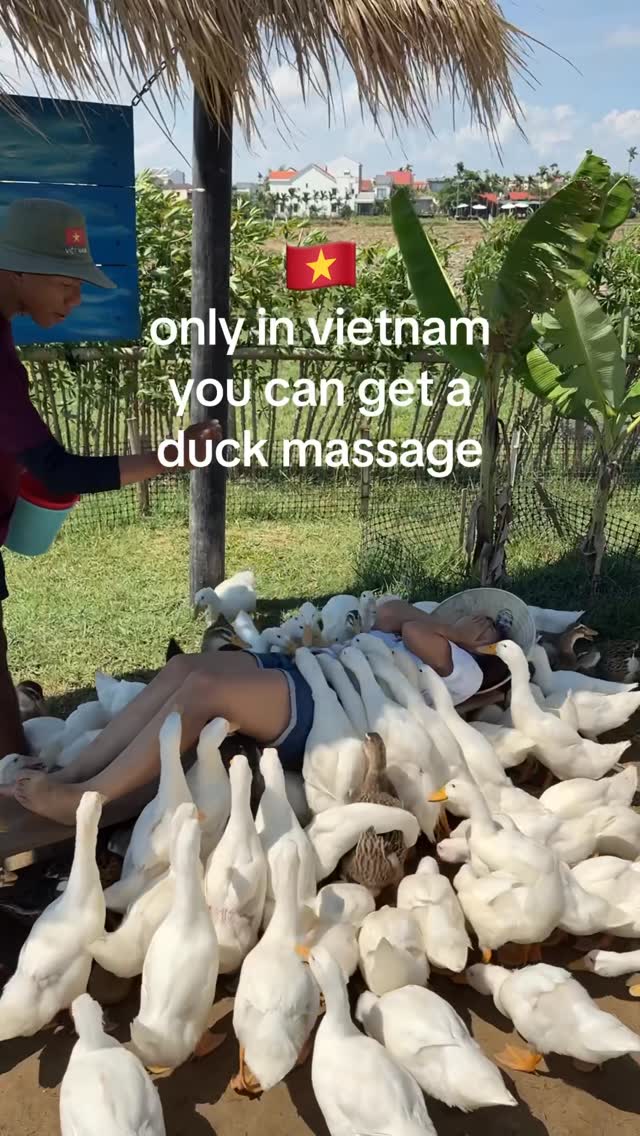Duck Massage Experiences in Hoi An and Da Nang