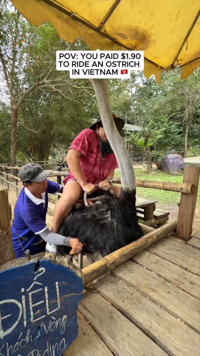 Ostrich Riding At Yang Bay Waterfall